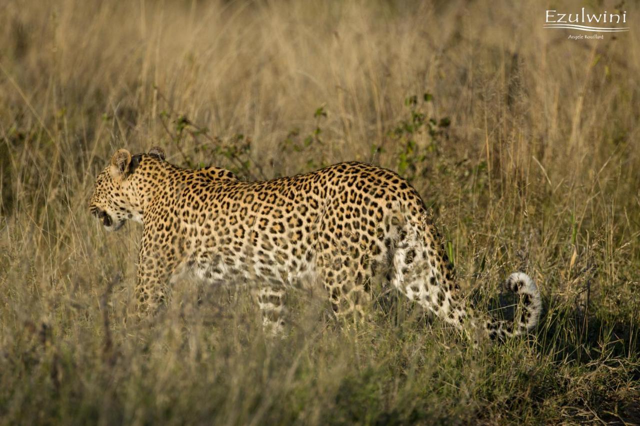 Ezulwini Game Lodges Mica Exterior foto